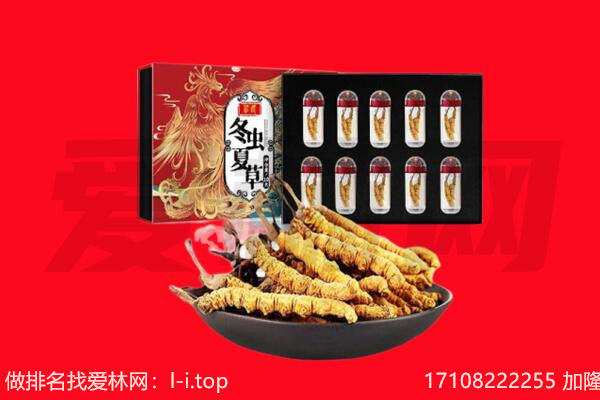 和田地区回收虫草.jpg